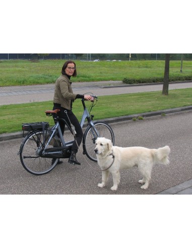 Hundeleinenführungsstange M-Wave "Dog Walk"