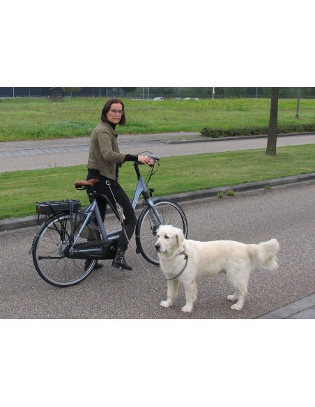Hundeleinenführungsstange M-Wave "Dog Walk"