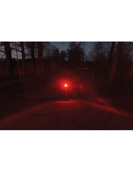 Gepäckträger Rücklicht Axa Juno E-Bike 6-12 Volt mit Bremslicht - 50 mm montage