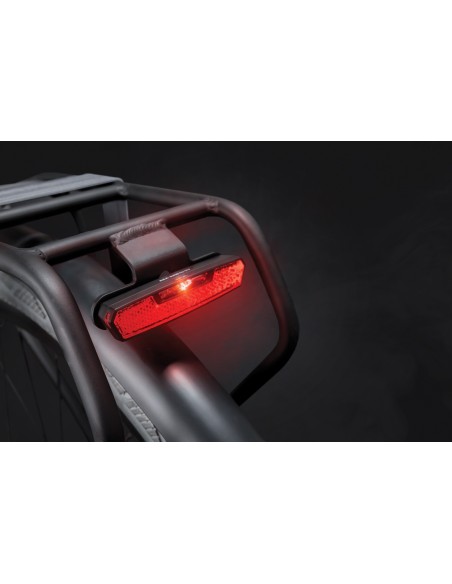 Gepäckträger Rücklicht Axa Juno E-bike 6-12 Volt - 80 mm Montage
