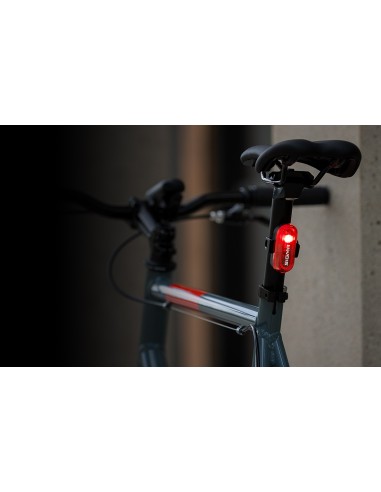 Rücklicht Sigma Curve