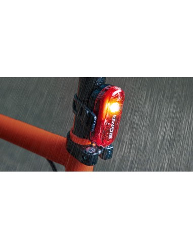 Rücklicht Sigma Curve