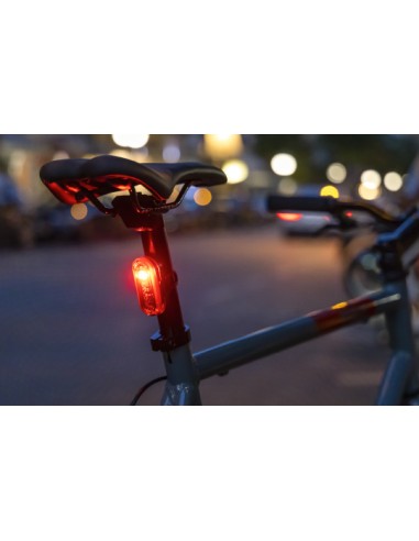 Rücklicht Sigma Curve