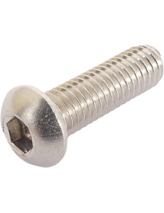Bremsscheibenbolzen M6 Inox (10*)