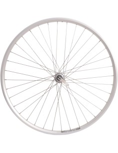 Hinterrad Rodi 28" / 622x19 - Skorpion - 36 Löcher FM32 - 8/9 fach Nabe + QR - Silber