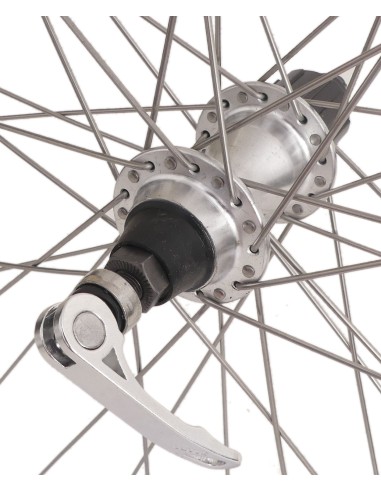 Hinterrad Rodi 28" / 622x19 - Skorpion - 36 Löcher FM32 - 8/9 fach Nabe + QR - Silber