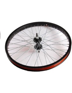 Hinterrad 20*1.75 Alu-Schwarz Freestyle 48-Speichen