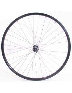 Vorderrad 28/29 "/ 622x19C Ryde Andra 30 Felge mit Shimano FH-MT200 Nabe für Center Lock Bremsscheibe - schwarz