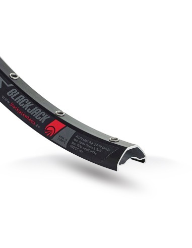 Laufradsatz 29" Rodi Ready 25 Disc - 15x100 + 12x142 mm Thru Axle - 10/11 fach