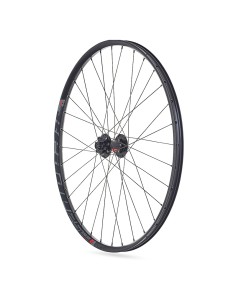 Laufradsatz 29" Rodi Ready 25 Disc - QR9 + 12x142 mm Thru Aksel - 10/11 fach