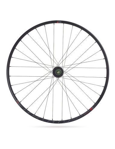Laufradsatz 29" Rodi Ready 25 Disc - QR9 + 12x142 mm Thru Aksel - 10/11 fach