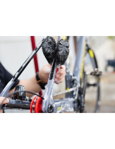 Cyclon Two Prong Bürste