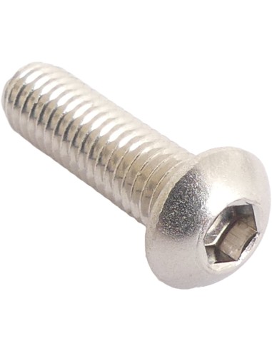 Bremsscheibenbolzen M6 Inox (10*)