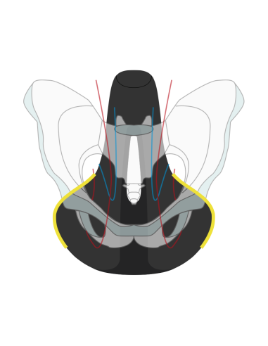 Fahrradsattel Wittkop Twin Medicus 3.0  City/Trekking - Schwarz