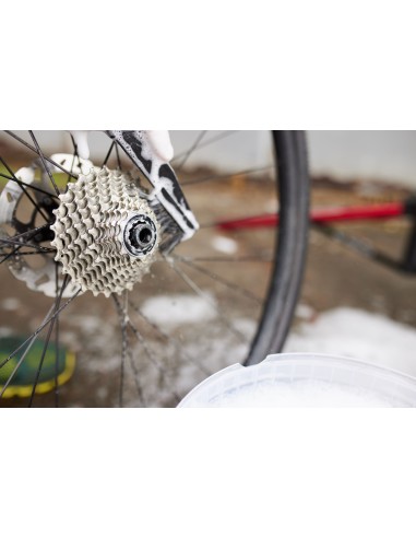 Cyclon® Cassette Claw + Detail Brush Chain (in einem Beutel)