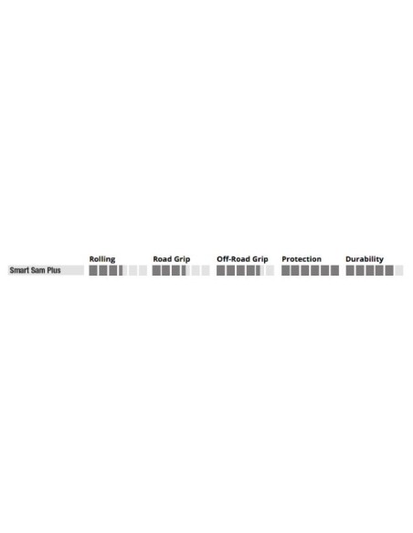 Reifen Schwalbe Smart Sam Plus DD GreenGuard 29 x 2.10" / 54-622 mm - Schwarz