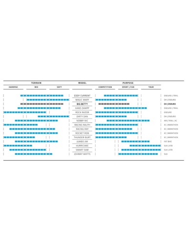 Reifen Schwalbe Big Betty BikePark 29 x 2.40" / 62-622 mm - Schwarz