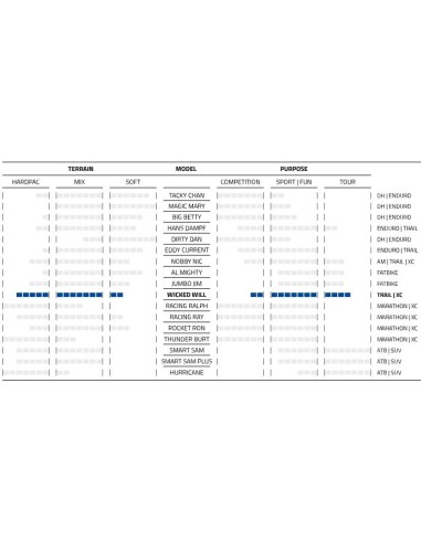 Reifen Schwalbe Wicked Will Evo Super Race 29 x 2.40"/62-622mm - transparant sidewall