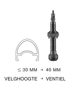 Schlauchloses Ventil Schwalbe 40mm (2 Stück)