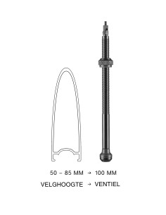 Schlauchloses Ventil Schwalbe 100mm (2 Stück)