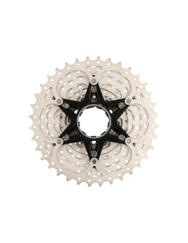 Kassetten-Zahnkranz 10-fach mit Spider 11-36Z - Metall