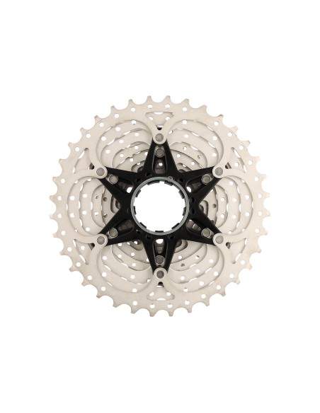Kassetten-Zahnkranz 10-fach mit Spider 11-36Z - Metall