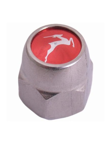 Decoratieve Hinterachsmutter Gazelle Bremsnabe 3/8" x 24g - 21 mm rostfreier Stahl