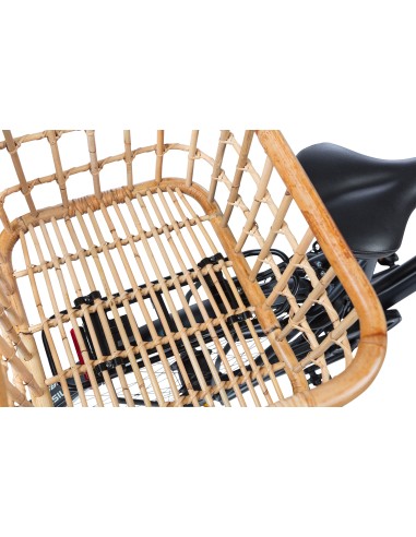 Befestigungssatz MIK - Basil Green Life - Schwarz