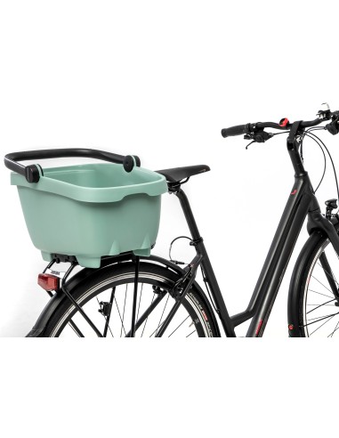 Recycelte (Hunde)fahrradkorb New Looxs Clipper Racktime - 28 Liter 49 x 37 x 29 cm   Grün