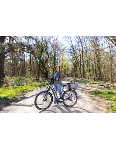 Recycelte (Hunde)fahrradkorb New Looxs Clipper Racktime 2.0 - 28 Liter 49 x 37 x 29 cm   Anthrazit