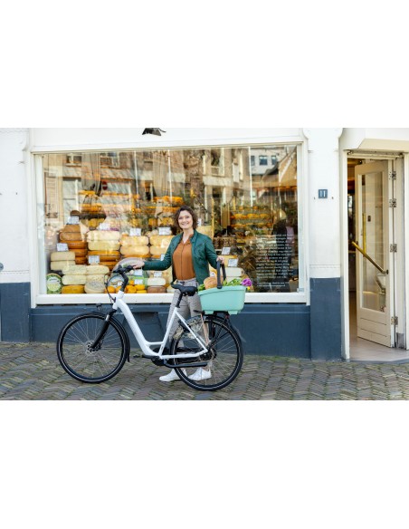Recycelte (Hunde)fahrradkorb New Looxs Clipper MIK - 28 Liter 49 x 37 x 29 cm   Grün