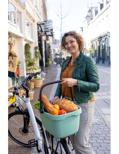 Recycelte (Hunde)fahrradkorb New Looxs Clipper - 28 Liter 49 x 37 x 29 cm   Grün