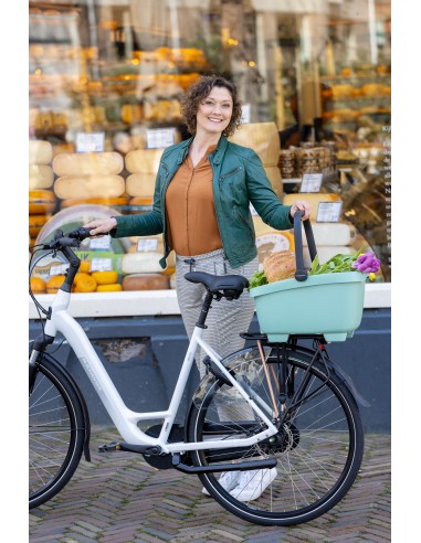 Recycelte (Hunde)fahrradkorb New Looxs Clipper - 28 Liter 49 x 37 x 29 cm   Grün