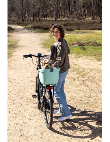 Recycelte (Hunde)fahrradkorb New Looxs Clipper - 28 Liter 49 x 37 x 29 cm   Grün